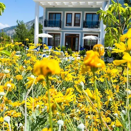 Oludeniz'de 10 Kisilik Luks, Havuzlu, Muhafazakar Villa Fethiye